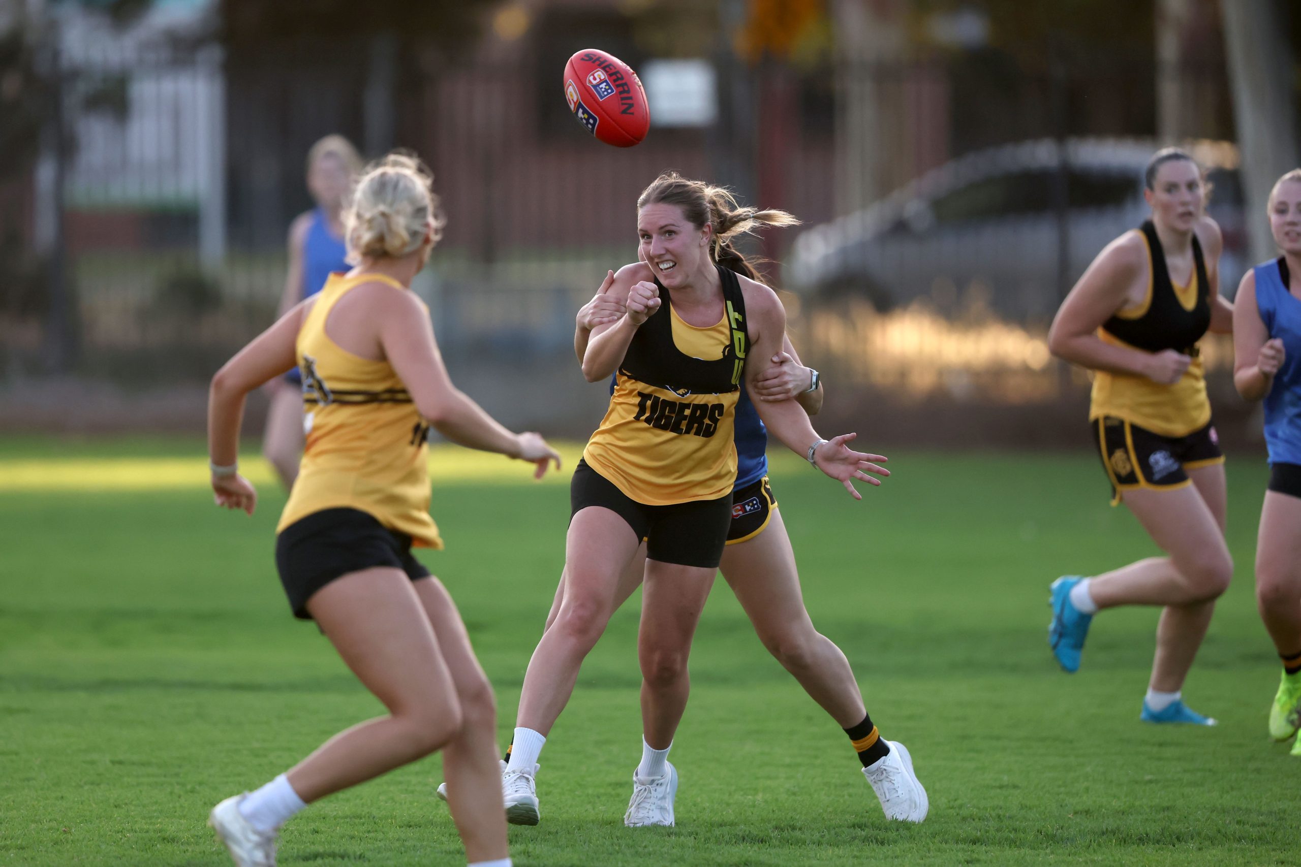 2026 Hostplus SANFLW Pocket Profile – Glenelg - SANFL